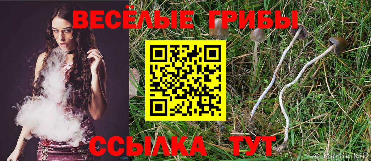 Псилоцибиновые грибы ЛСД  Вход с VPN  Майский 